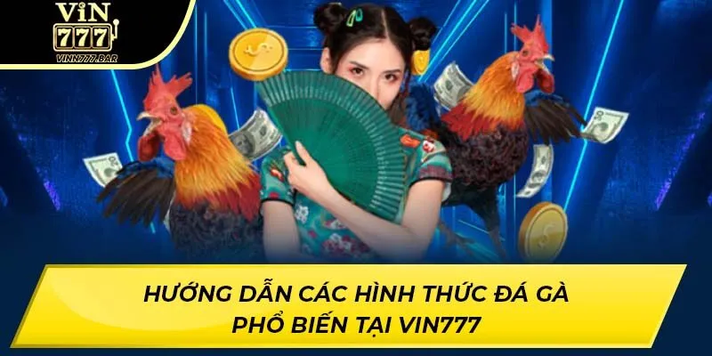 Hướng dẫn các hình thức đá gà phổ biến tại VIN777