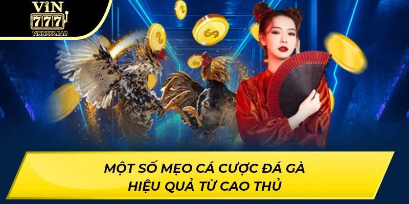 Một số mẹo cá cược đá gà hiệu quả từ cao thủ
